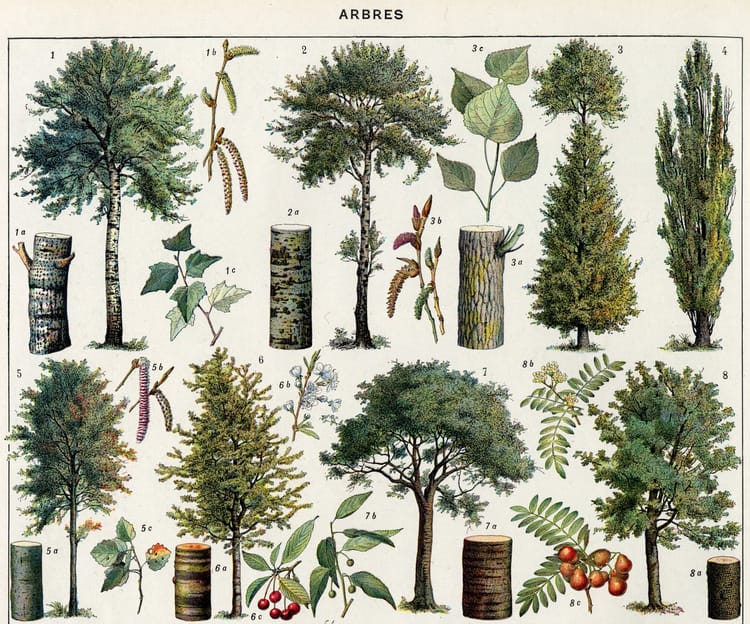 The Dividends of Difference: Recognizing Digital Humanities' Diverse Family Tree/s