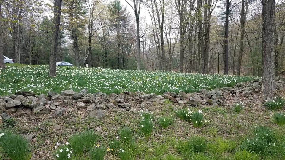 Digital Humanities Outreach and Media Fragmentation