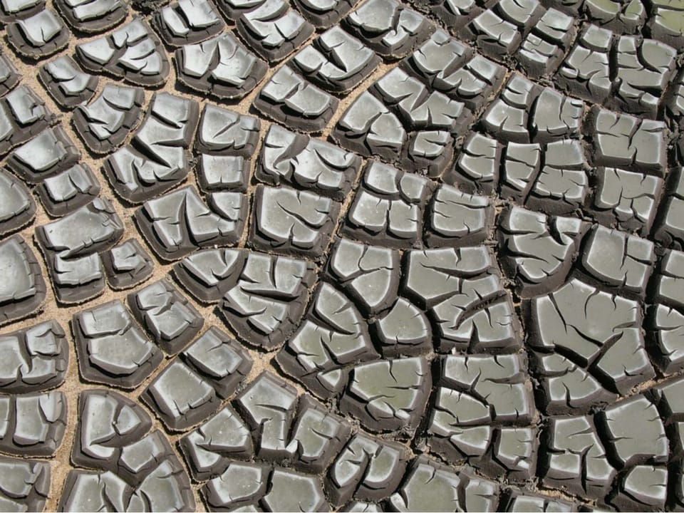 Collaboration and Emergent Knowledge at Greenhouse Studios